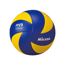 Mikasa MVA200 Training Ball